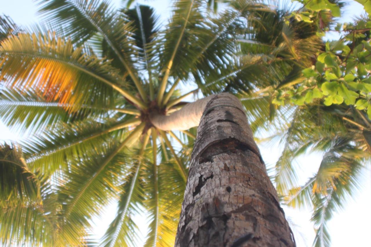 Cocoloco Beach Resort Manoc-Manoc Luaran gambar